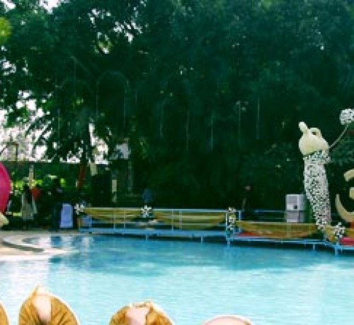 Treasure Island Resort
