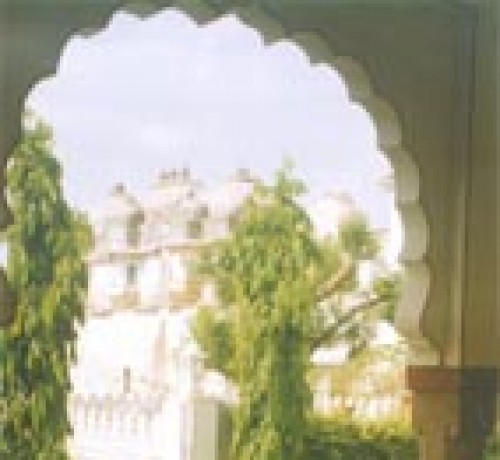 Lawn 1
