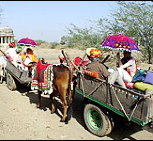 Activities_img2