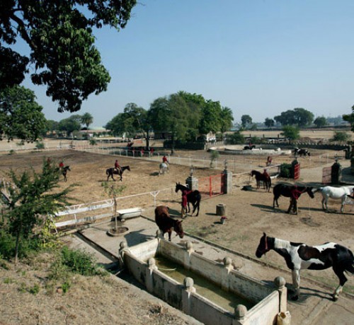 Stud_farm001 Stud_farm001
