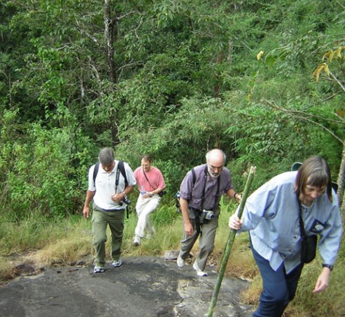 Trekking Trekking