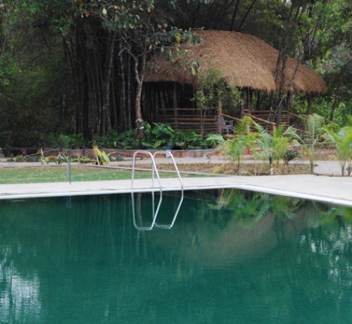 Pool view2
