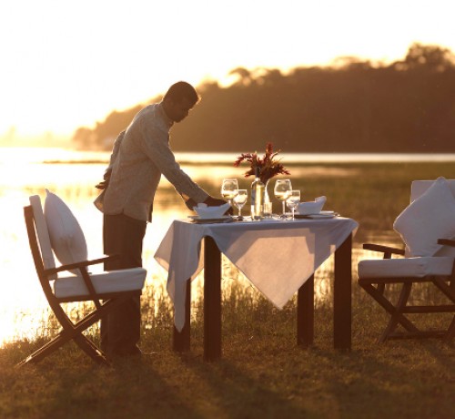 Honeymoon dinner