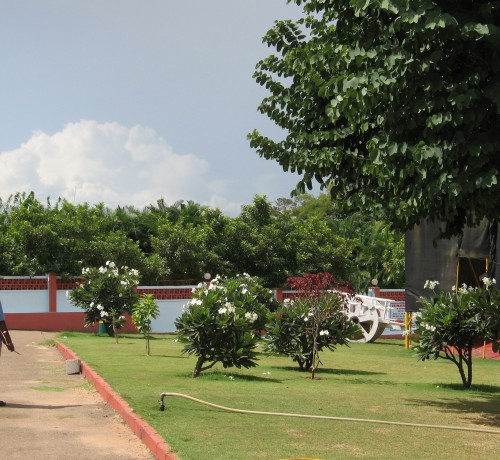 Lawns