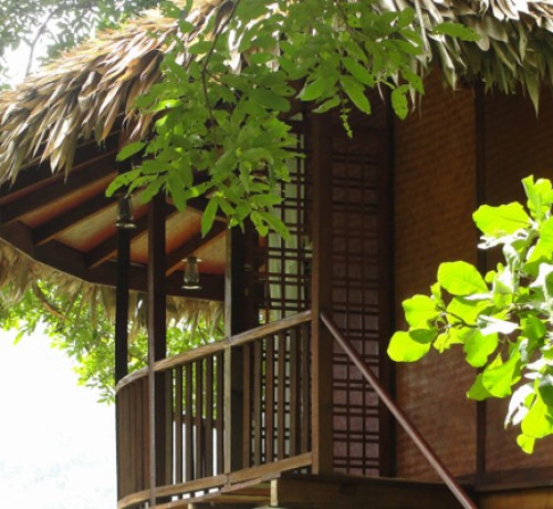 Tree house3 Tree house3