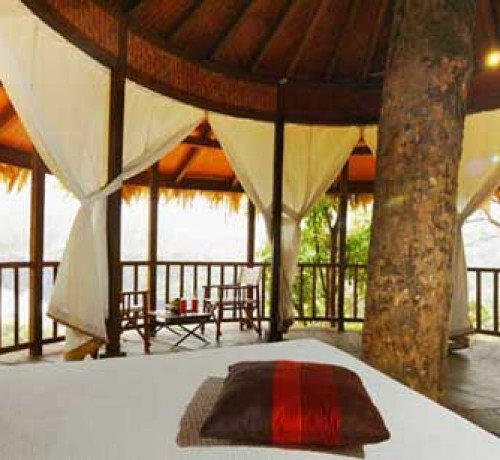 Tree house1 Tree house1