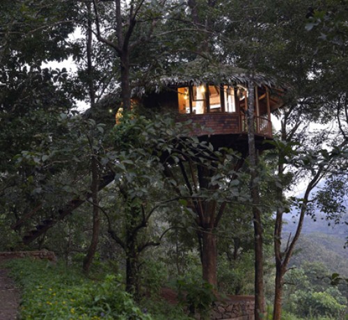 Tree house2 Tree house2