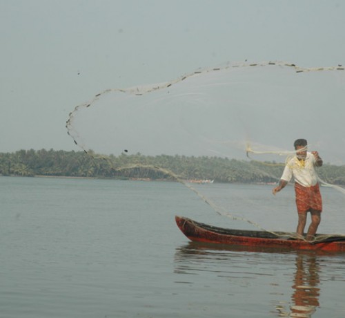 Back-water-3
