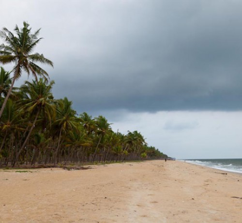 Sea-shore