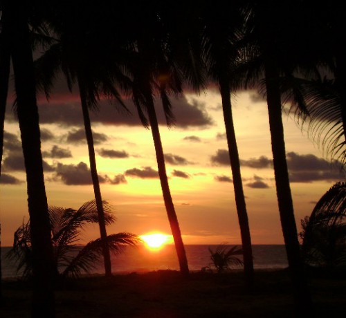SUN-SET-1