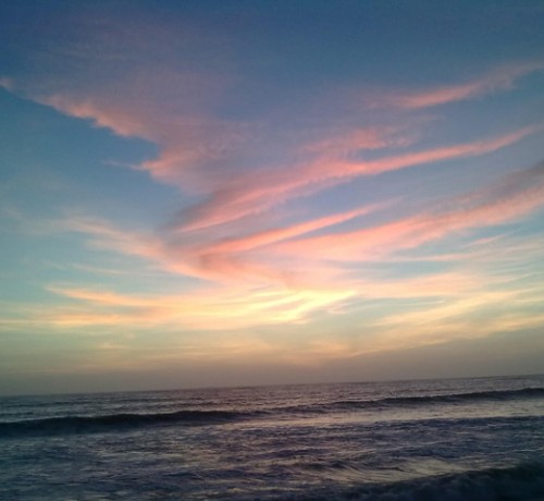 The-Sea