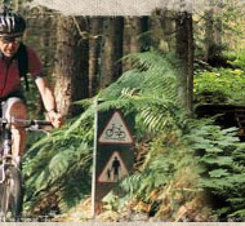 Biking Trail