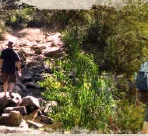 Hiking_Trails-