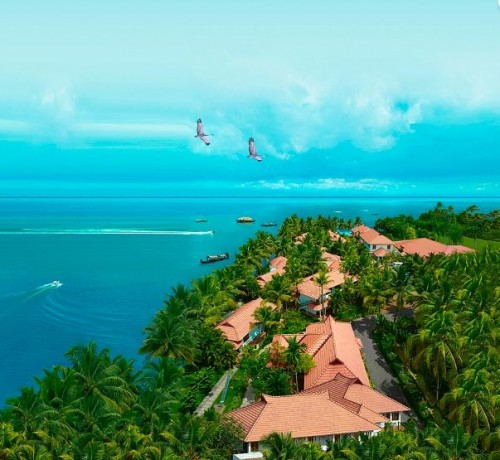 Arial View Arial View