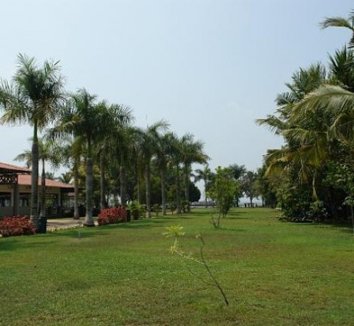Lawn Lawn