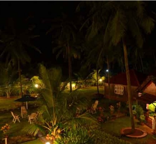 View at Night