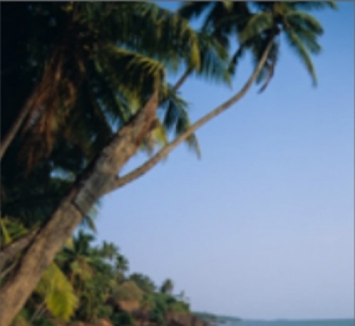 Magnificent Beach