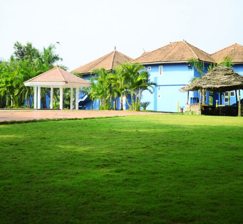 Amidst Nature