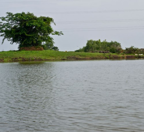Serene Bank