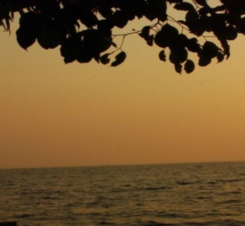 Sunset View Sunset View