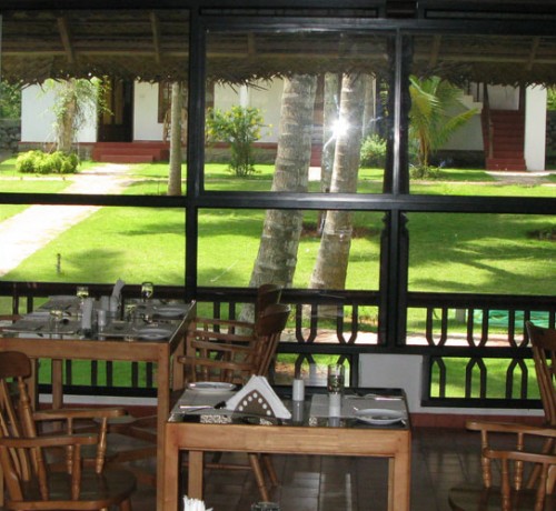 Dining Dining