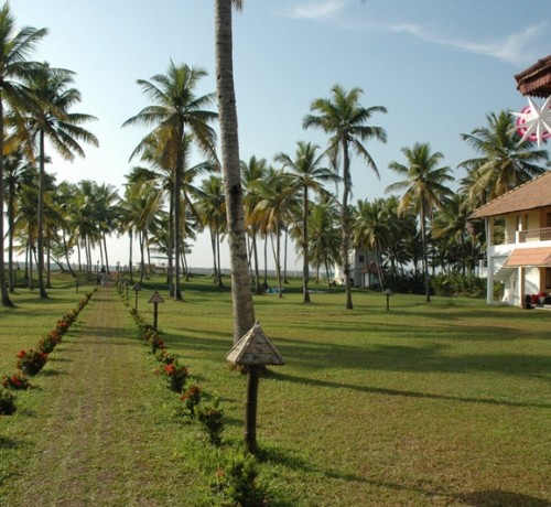 Lawn Lawn
