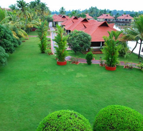 Lawn Lawn