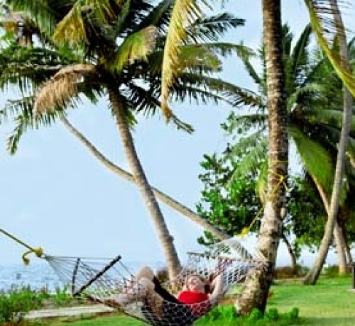 Hammock Hammock