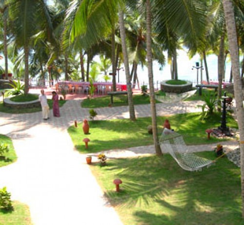 The Pathway The Pathway