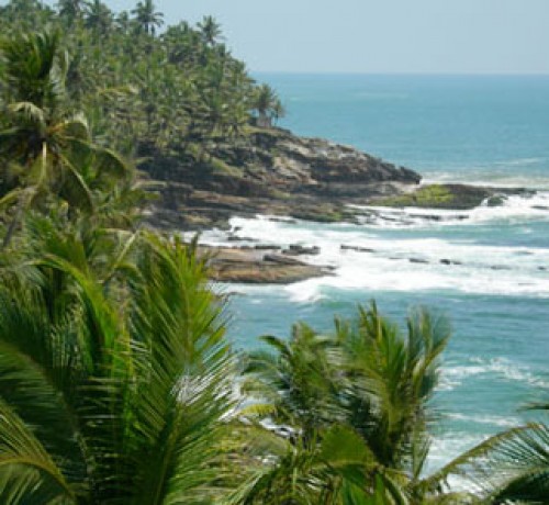 The surf The surf