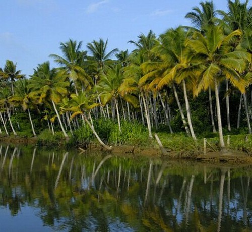 Backwaters Backwaters