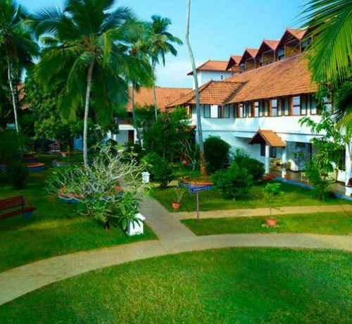 Lawn Lawn