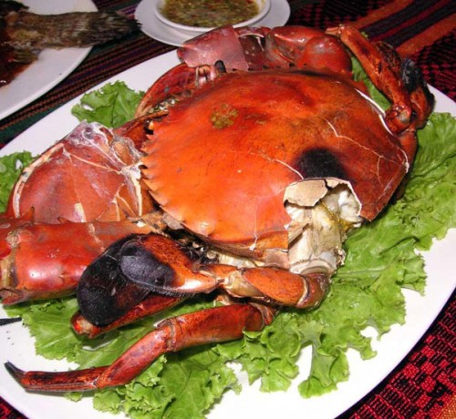 Cuisine3 Cuisine3