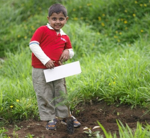 Planting a tree Planting a tree