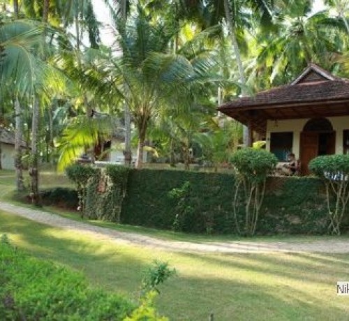 Garden Garden
