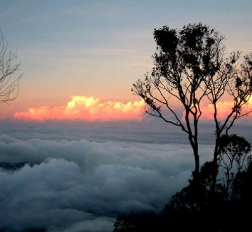 Sunset View Sunset View
