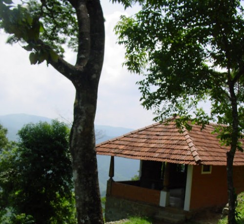Jacaranda House