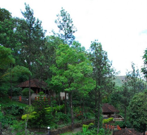 Layout of Cottages