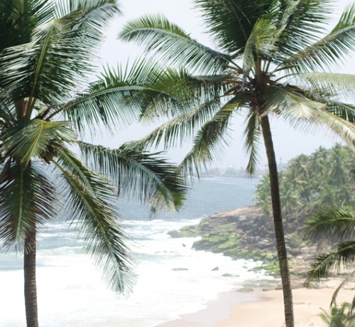 Beach view Beach view