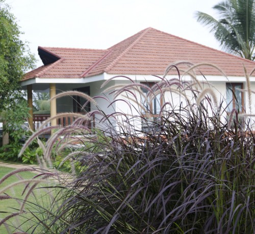 Garden Garden