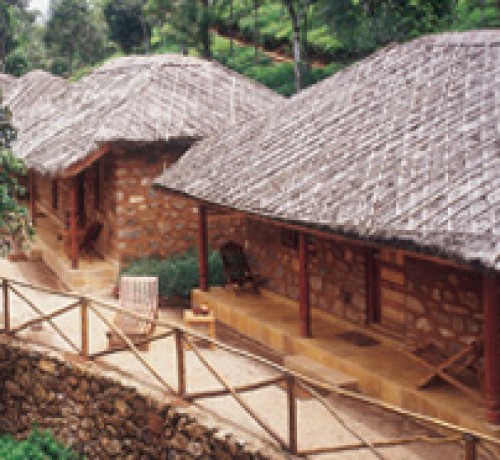 Cottages