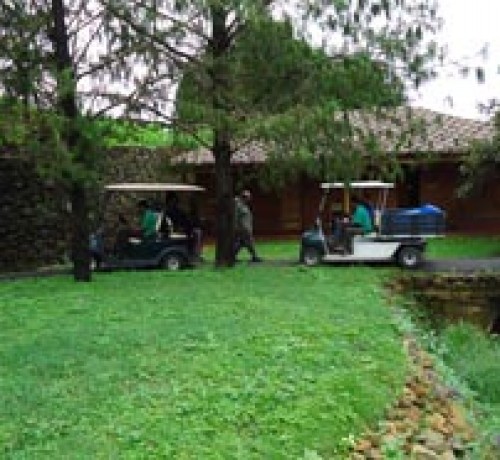 Green lawn