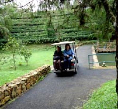 Nature trail