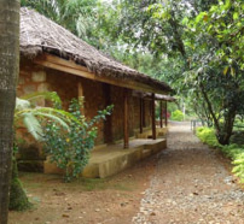 Way to cottage 1