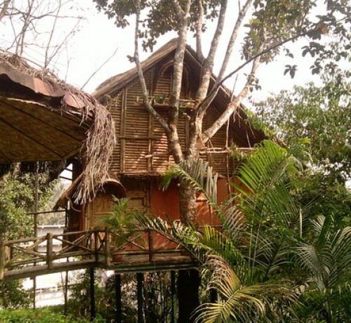 Bamboo Tree House set amidst Nature