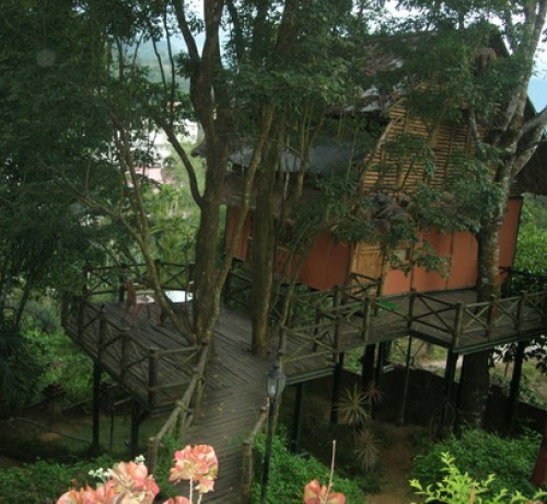 Panoramic View