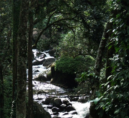 Natural Beauty view