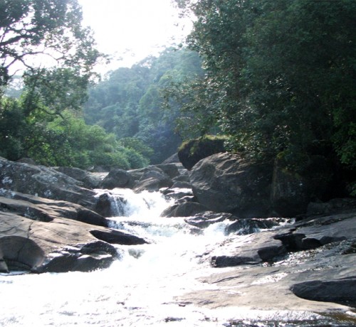 Memorable Beauty view