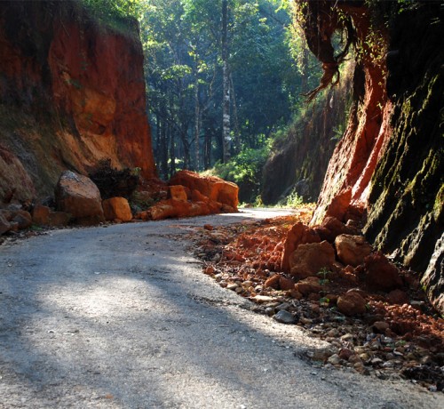 Way of Paradise view