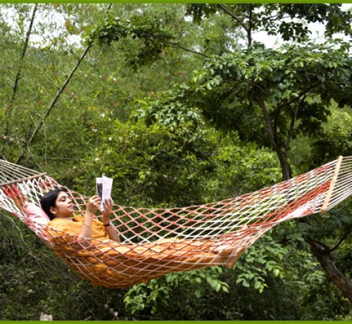 Hammock